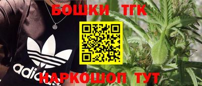 индика Кунгур