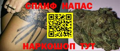 индика Кунгур