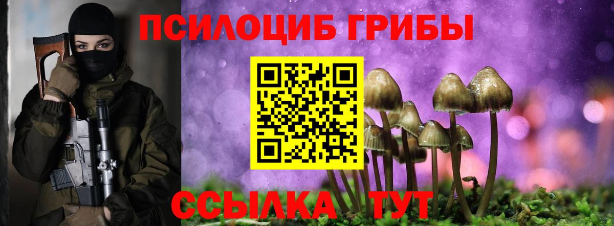 Зеленогорск  Псилоцибиновые грибы MAGIC MUSHROOMS  Галлюциногенные грибы Psilocybe  Вход с VPN 